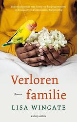 Foto van Verloren familie - lisa wingate - ebook (9789026352034)