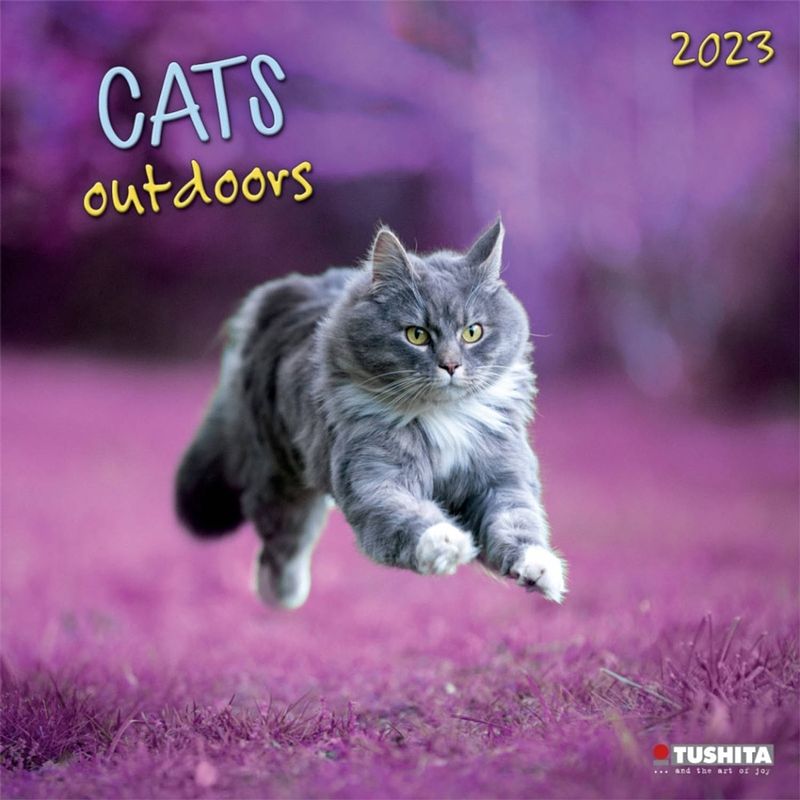 Foto van Cats outdoors kalender 2023