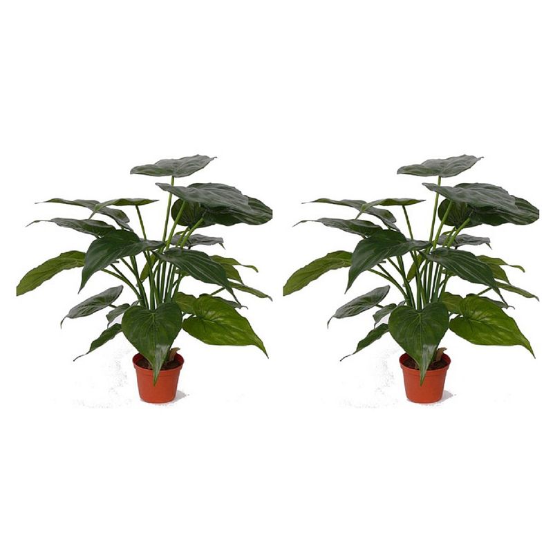 Foto van Set van 2x stuks kunstplanten alocasia olifantsoor groen 51 cm - kunstplanten