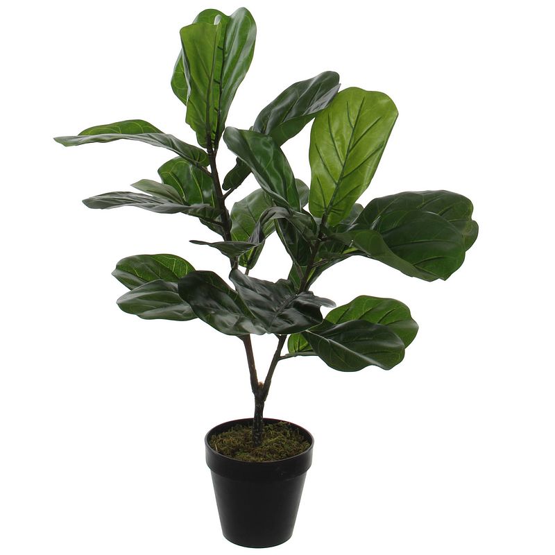 Foto van Groene ficus lyrata kunstplant 75 cm voor binnen - kunstplanten