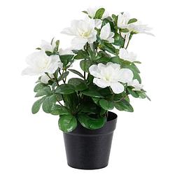 Foto van Azalea kunstbloemen - in pot - wit - h25 cm - kunstplanten