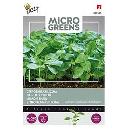 Foto van 5 stuks microgreens citroenbasilicum