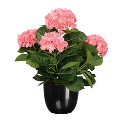 Foto van Hortensia kunstplant/kunstbloemen 45 cm - roze - in pot zwart glans - kunstplanten