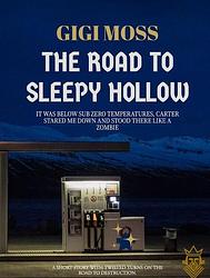 Foto van The road to sleepy hollow - gigi moss - paperback (9789464808933)