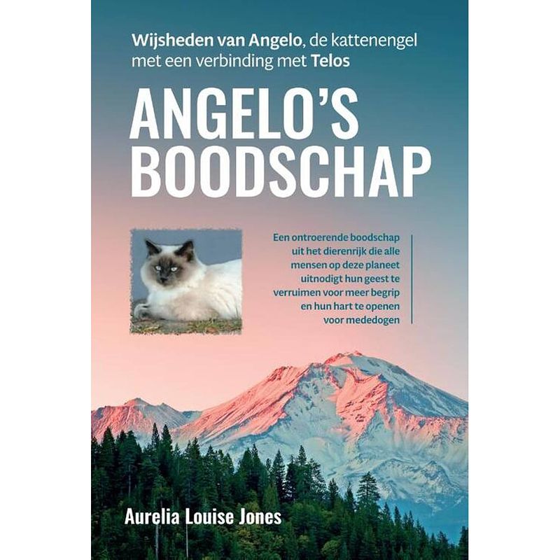 Foto van Angelo's boodschap