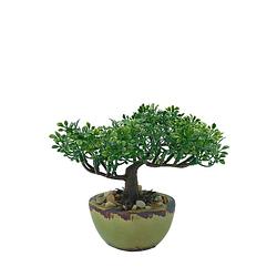 Foto van Bonsai mini kunstplant 19cm