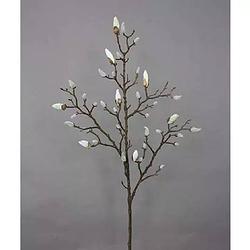 Foto van Buitengewoon de boet - magnolia tak cream 103 cm kunstplant