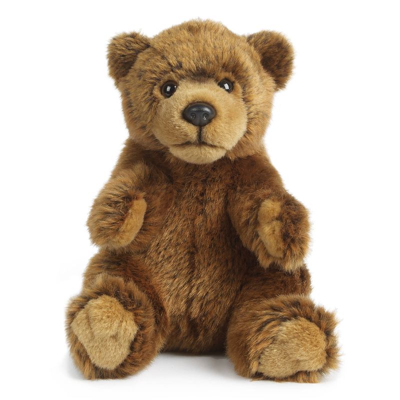 Foto van Living nature knuffel brown bear