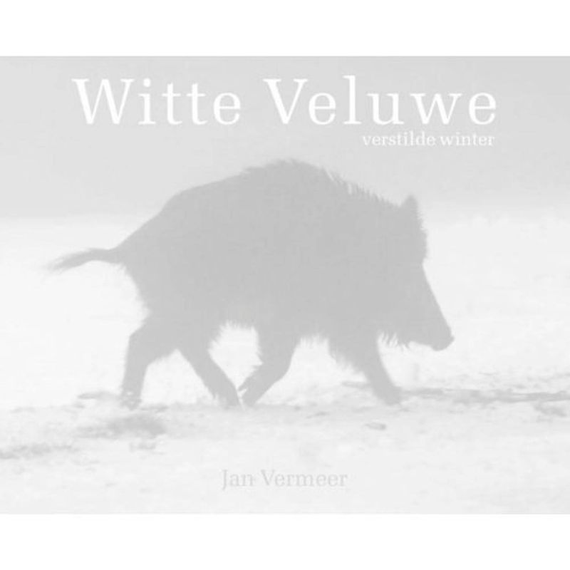 Foto van Witte veluwe