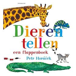 Foto van Dieren tellen