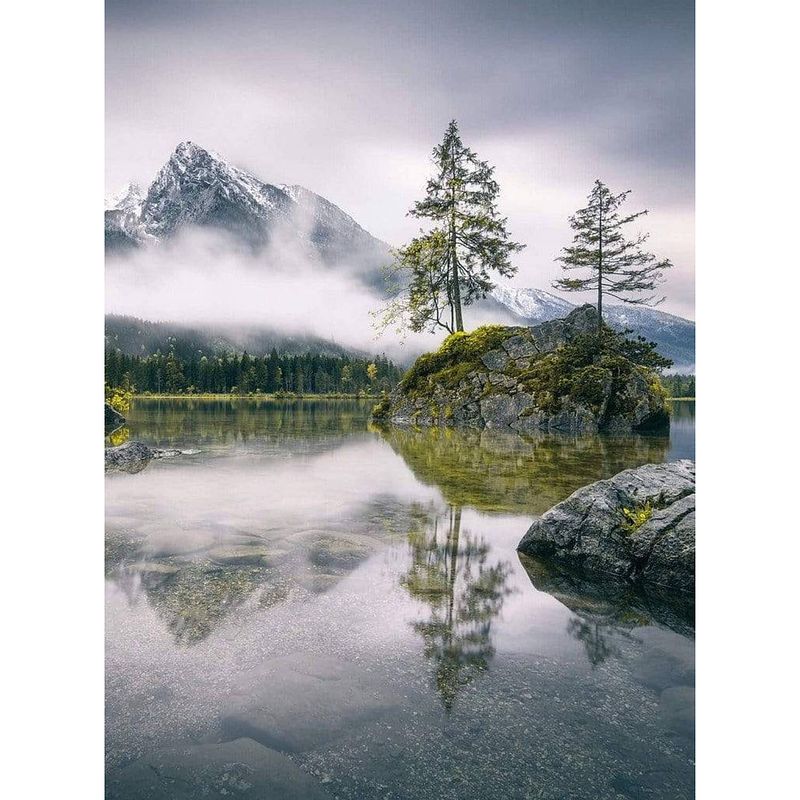 Foto van Wizard+genius foggy day vlies fotobehang 192x260cm 4-banen