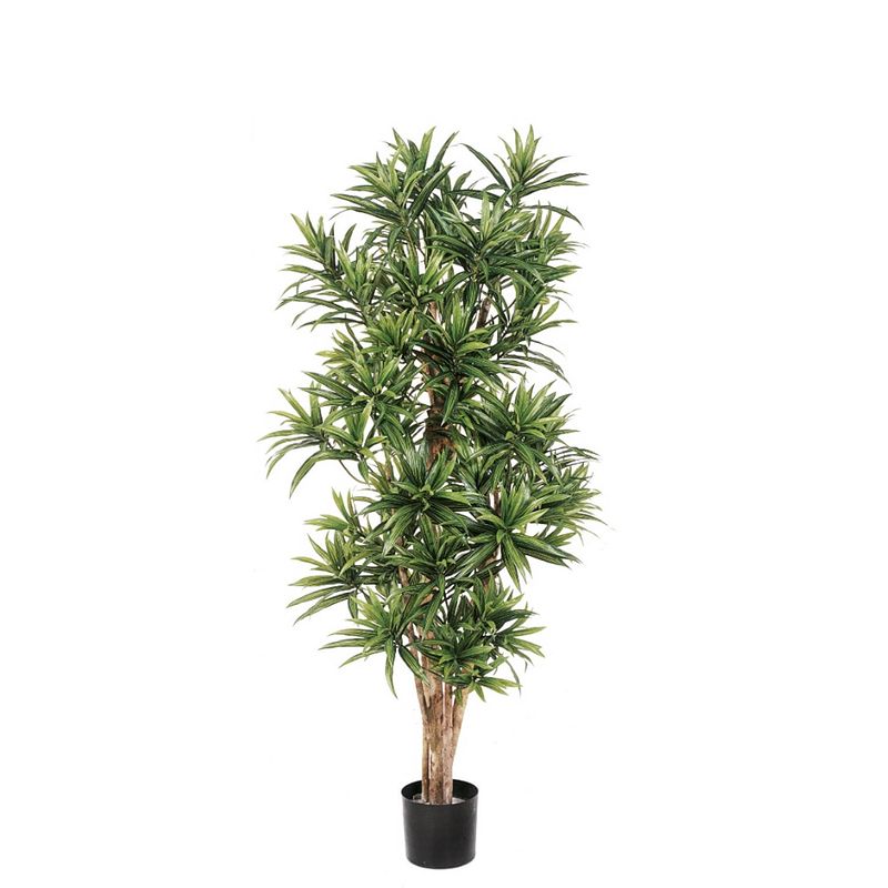 Foto van Kunstplant dracaena reflexa - 120 cm