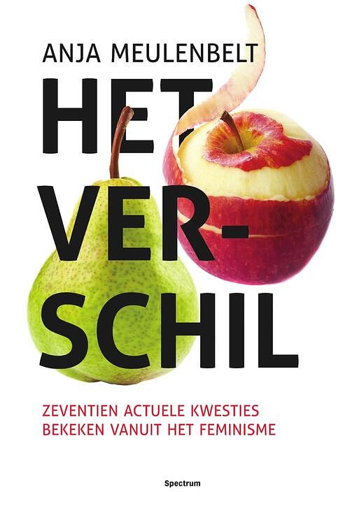 Foto van Het verschil - anja meulenbelt - ebook (9789000350193)