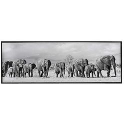 Foto van Schilderij olifanten - zwart - 43x123x3,5 cm - leen bakker