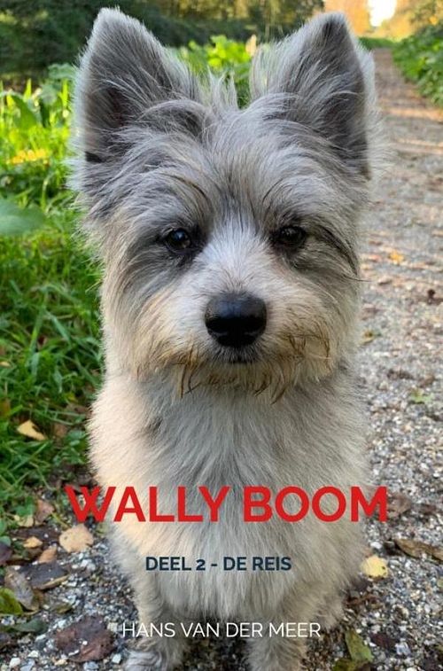 Foto van Wally boom - hans van der meer - ebook