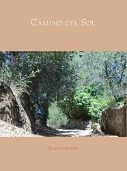 Foto van Camino del sol - sander jonker - ebook (9789402128109)