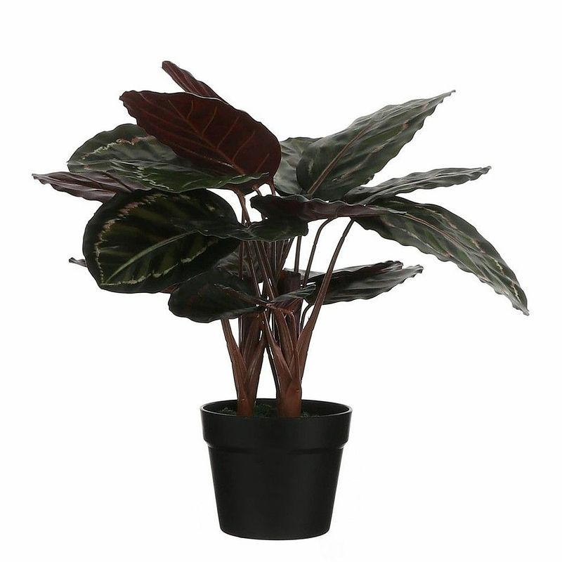 Foto van Calathea roseopicta kunstplant groen in keramieken pot h60 x d40 cm - kunstplanten/nepplanten met bloemen