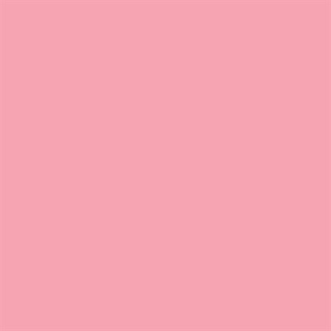 Foto van Superior achtergrondpapier 17 carnation pink 2,72 x 11m