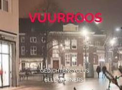 Foto van Vuurroos - elle werners - paperback (9789403701974)