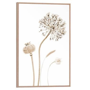 Foto van Poster flower stills - 30x20 cm - leen bakker