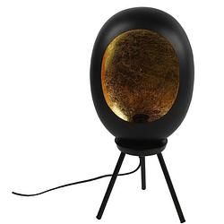 Foto van Non-branded staande lamp eggy 25w 24,5 x 52,5 cm e27 staal zwart