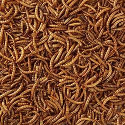 Foto van Topdiervoeding meelwormen gedroogd - 10 kg. - vogelvoer - 60 liter