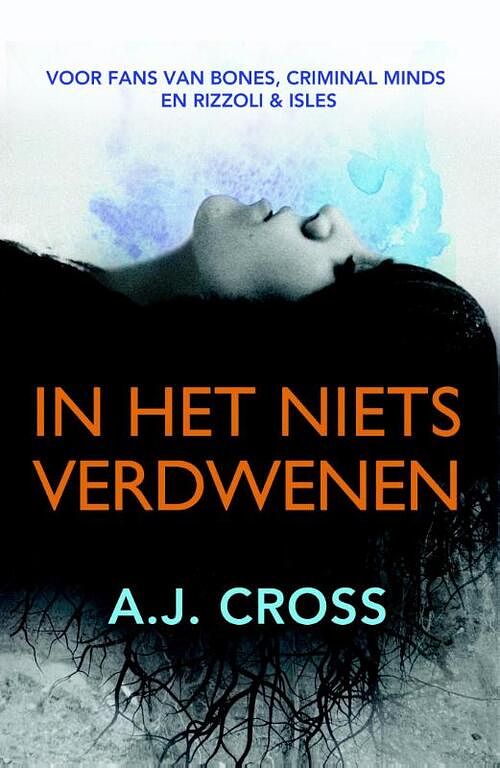 Foto van In het niets verdwenen - a.j. cross - ebook (9789026133336)