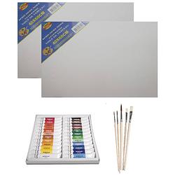 Foto van Schilders verf set van 24x tubes acrylverf/hobbyverf 12 ml + 2x canvas doeken + 5x kwasten - schildersets