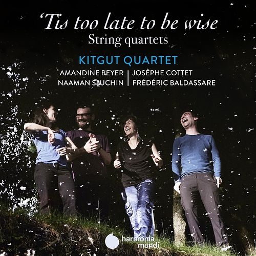 Foto van 'stis too late to be wise - cd (3149020939987)