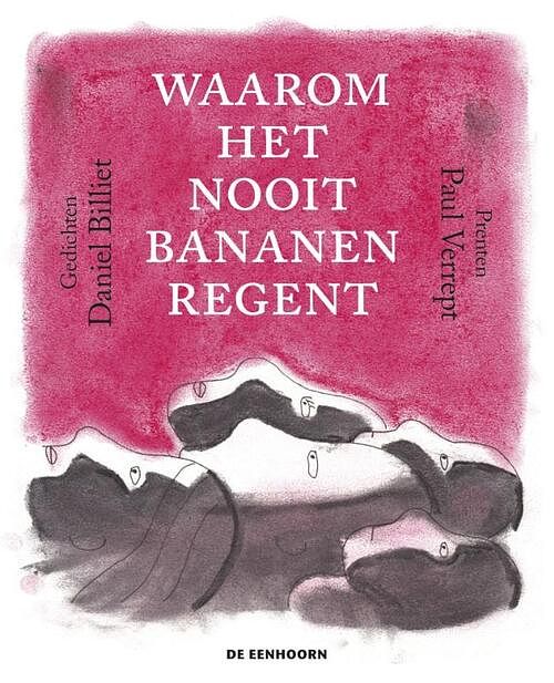 Foto van Waarom het nooit bananen regent - daniël billiet - hardcover (9789462915060)