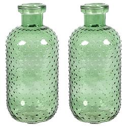 Foto van Countryfield bloemenvaas cactus dots - 2x - groen transparant - glas - d11 x h24 cm - vazen