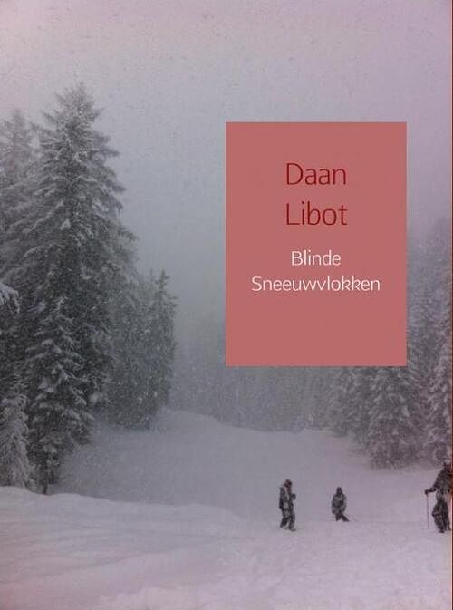 Foto van Blinde sneeuwvlokken - daan libot - ebook (9789463183109)