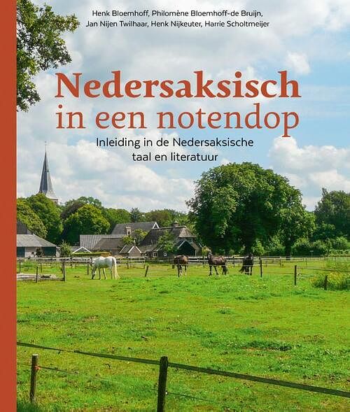 Foto van Nedersaksisch in een notendop - harrie scholtmeijer - paperback (9789023256670)