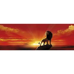 Foto van Komar the lion king fotobehang 202x73cm 1-deel