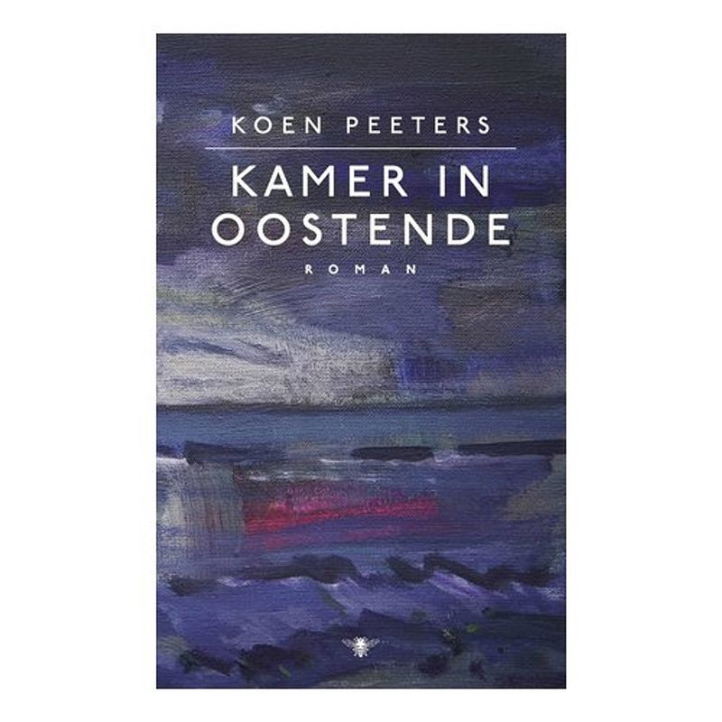 Foto van Kamer in oostende