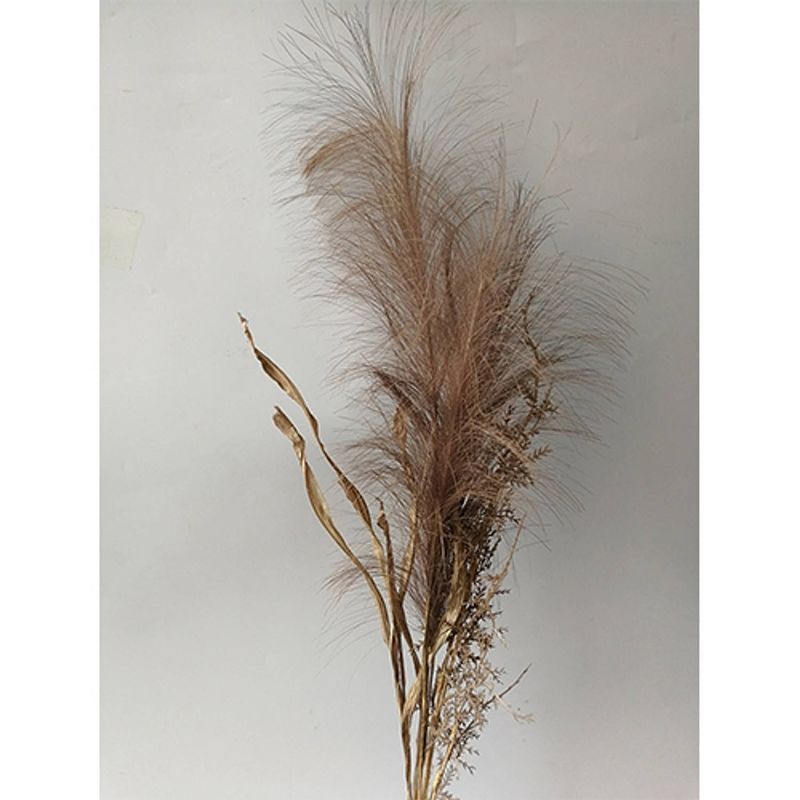 Foto van Pampas gras bosje met blad 75cm -bruin