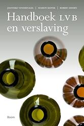 Foto van Handboek lvb en verslaving - joanneke van der nagel - ebook (9789024404964)