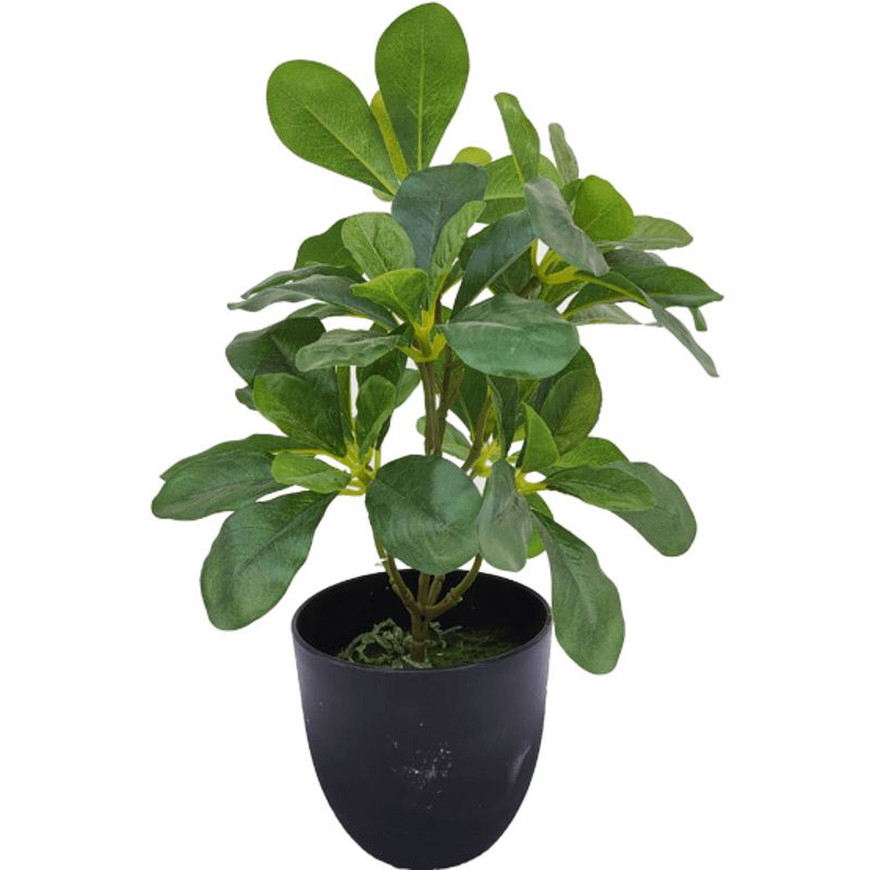 Foto van Schefflera kunstplant 30cm