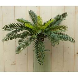 Foto van Warentuin mix - kunstpalm varen op steker 30 cm