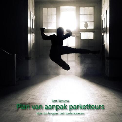 Foto van Plan van aanpak parketteurs - bert tamsma - paperback (9789402196931)