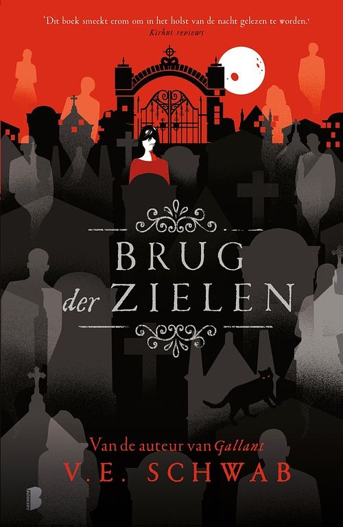 Foto van Brug der zielen - v.e. schwab - ebook