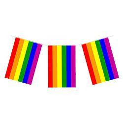 Foto van Regenboog vlaggenlijn/vlaggetjes van 7 meter - vlaggenlijnen