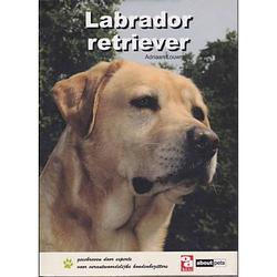 Foto van Labrador retriever - over dieren