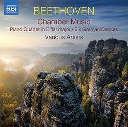 Foto van Chamber music - cd (0747313404070)