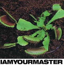 Foto van I am your master - lp (8713748985073)