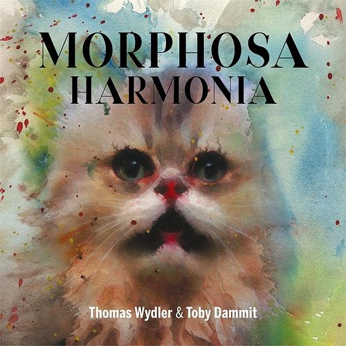 Foto van Morphosa harmonia - lp (4016368910093)