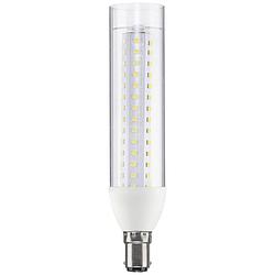 Foto van Paulmann 28891 led-lamp energielabel e (a - g) b15d ballon 9.5 w neutraalwit (ø x h) 36 mm x 165 mm 1 stuk(s)