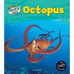 Foto van Octopus - dieren in beeld