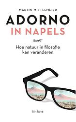 Foto van Adorno in napels - martin mittelmeier - ebook (9789025908683)