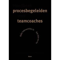 Foto van Handboek procesbegeleiden voor teamcoaches